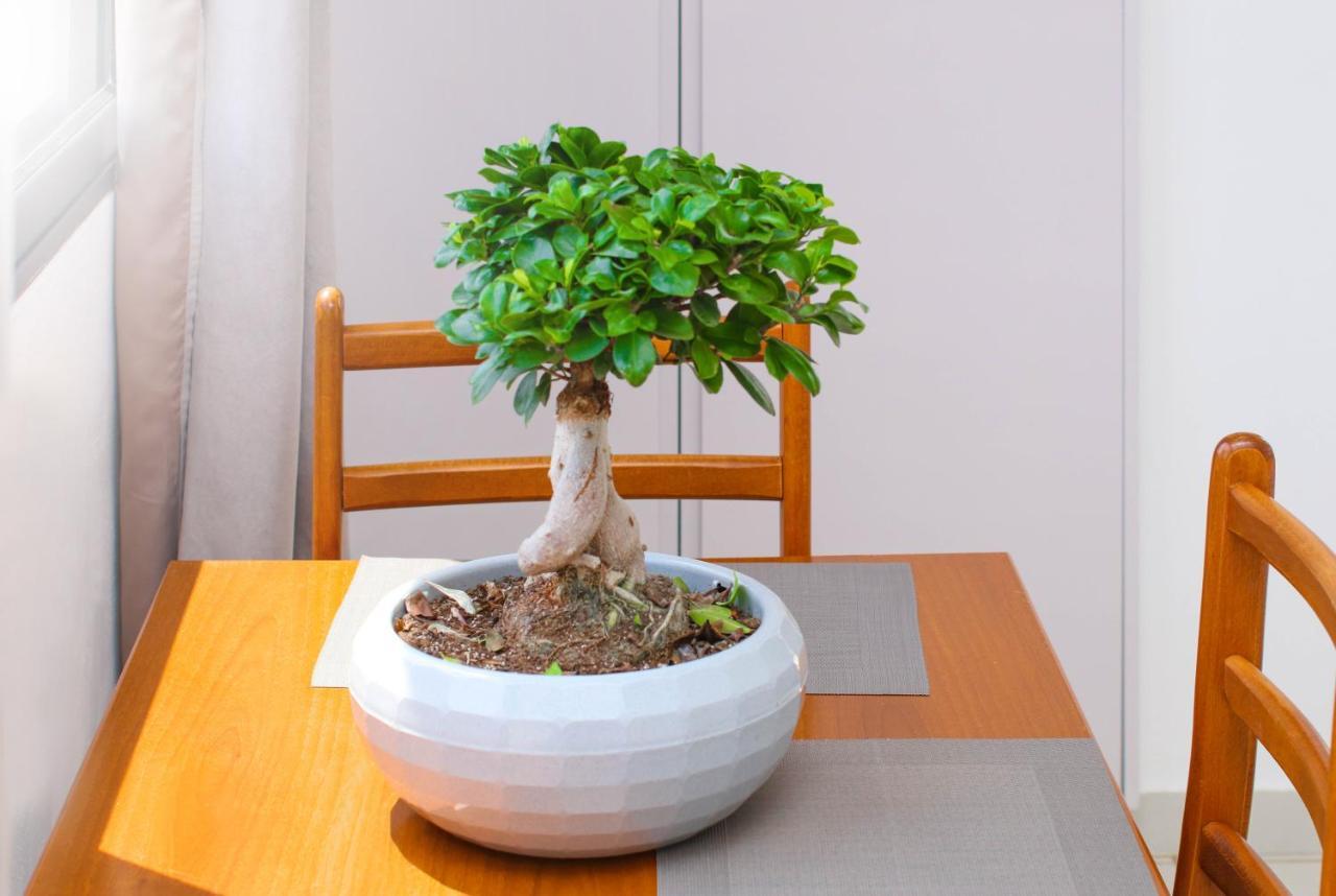 Bora Rooms 希马拉 外观 照片
